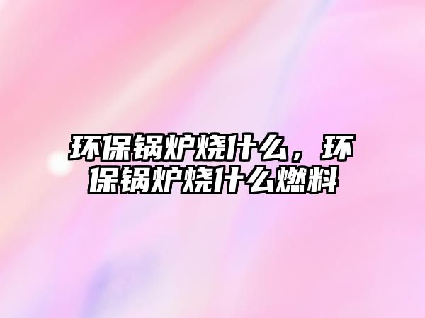 環保鍋爐燒什么，環保鍋爐燒什么燃料
